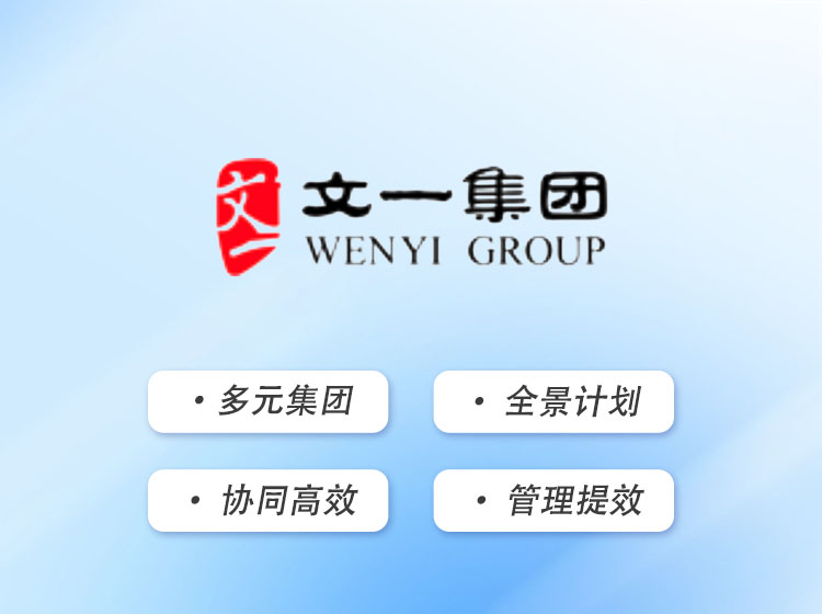 文一集团：全局计划系统，助力决策更高效
