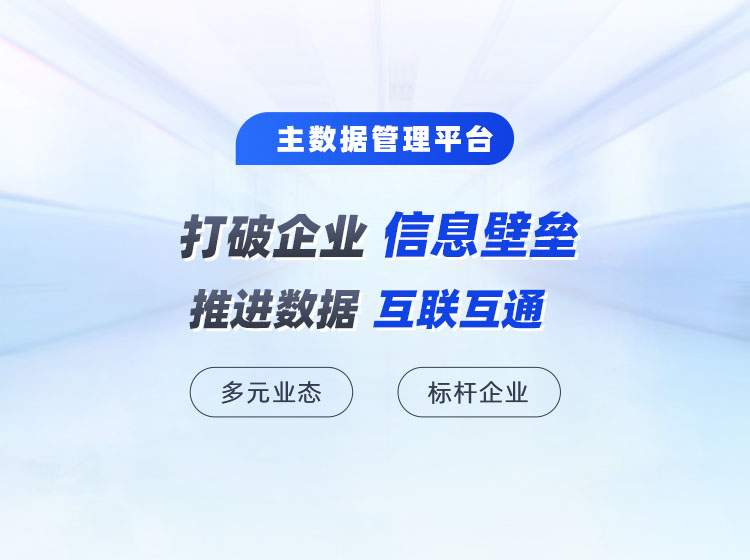 多业态企业数据管理成功实践