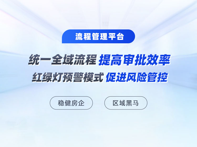 名企流程管理成功实践